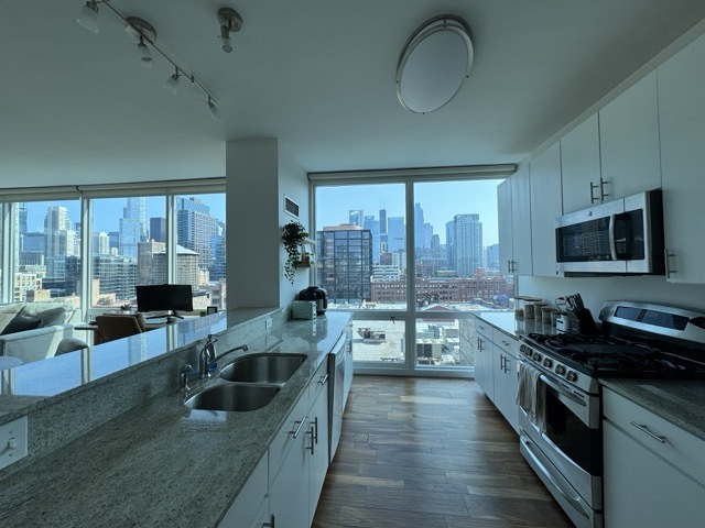 757 N Orleans Street 1206