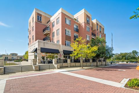 300 Village Circle 203 Willow Springs IL 60480