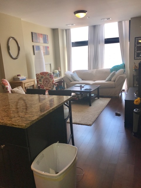 1464 S MICHIGAN Avenue 204