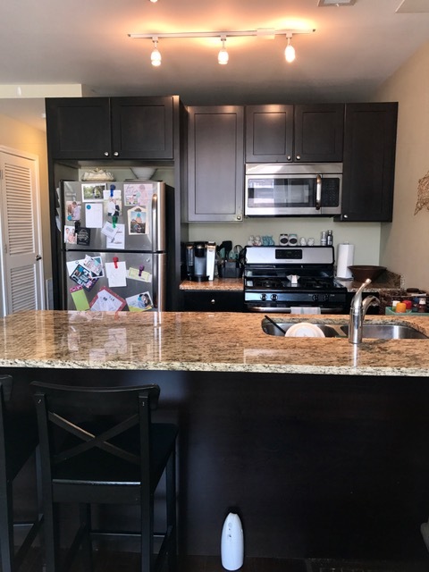 1464 S MICHIGAN Avenue 204