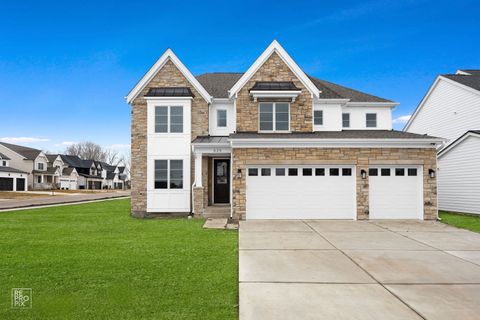 625 SCHOLTEN Drive Schaumburg IL 60193