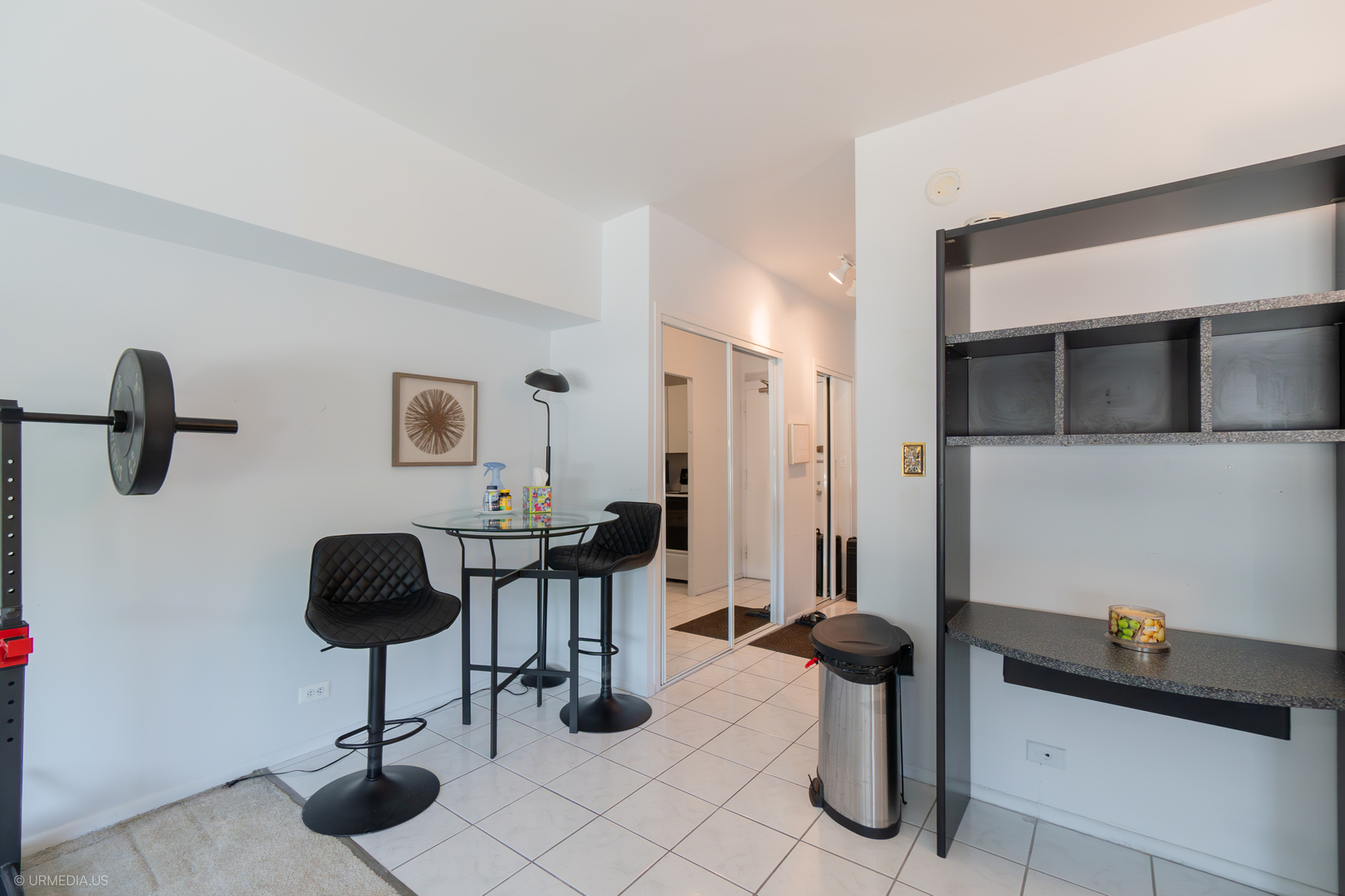 3600 N Lake Shore Drive 217