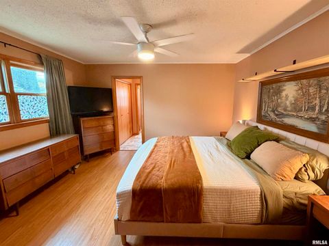 Tiny photo for 1043 14TH Avenue S, Clinton, IA 52732 (MLS # QC4269234)