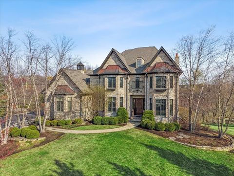 21660 W Savanna Lane Kildeer IL 60047