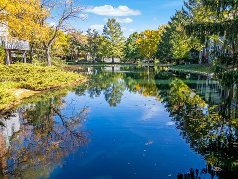 Tiny photo for 132 Northgate Place, Burr Ridge, IL 60527 (MLS # 12740265)