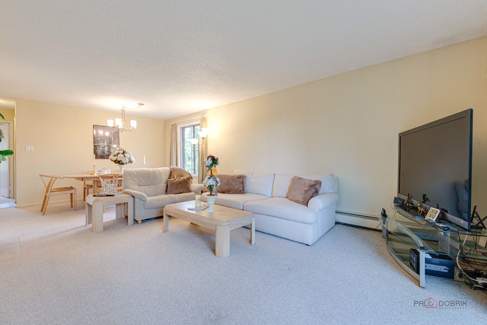 2 TIMBER Lane 18