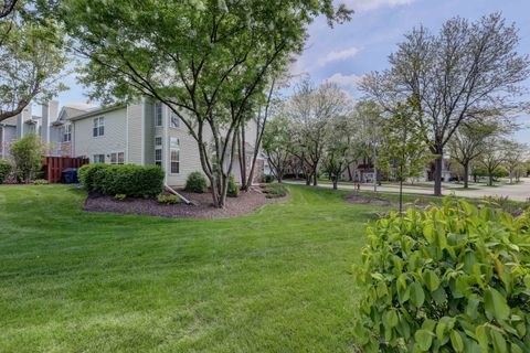 Tiny photo for 195 Island Court #195, Schaumburg, IL 60193 (MLS # 12469114)