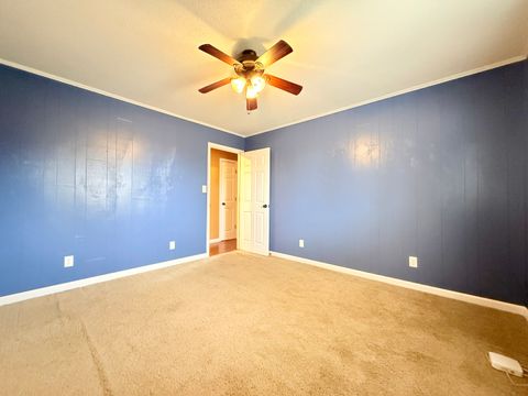 Tiny photo for 425 Peak Road, Harrisburg, IL 62946 (MLS # 12584185)