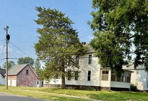 Tiny photo for 721 Pleasant Street, Kewanee, IL 61443 (MLS # 12709228)