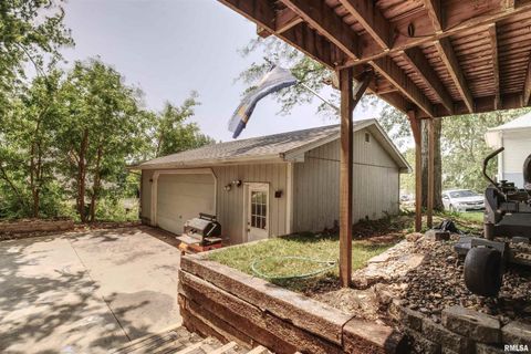 Tiny photo for 828 10TH Avenue, Fulton, IL 61252 (MLS # QC4264267)