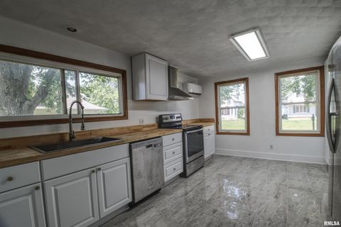 Tiny photo for 828 10TH Avenue, Fulton, IL 61252 (MLS # QC4264267)