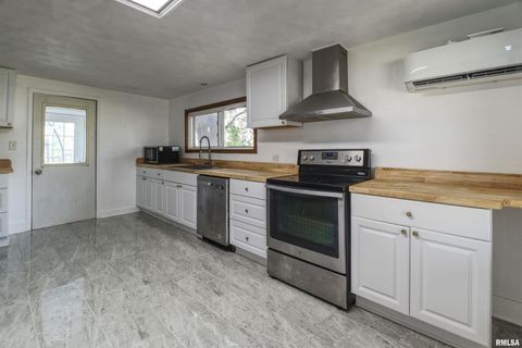 Tiny photo for 828 10TH Avenue, Fulton, IL 61252 (MLS # QC4264267)