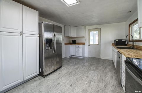 Tiny photo for 828 10TH Avenue, Fulton, IL 61252 (MLS # QC4264267)