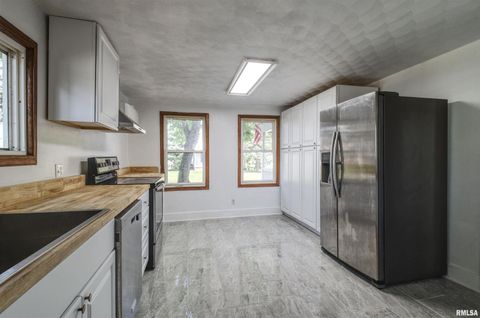 Tiny photo for 828 10TH Avenue, Fulton, IL 61252 (MLS # QC4264267)