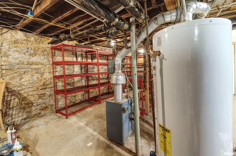 Tiny photo for 828 10TH Avenue, Fulton, IL 61252 (MLS # QC4264267)