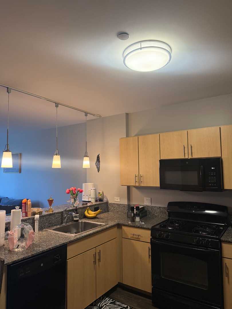 1209 W Arthur Avenue 311 - Photo 3