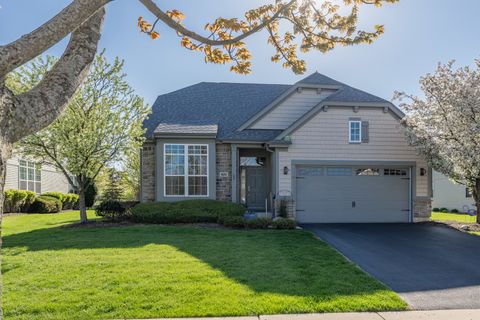 825 Canton Drive Oswego IL 60543