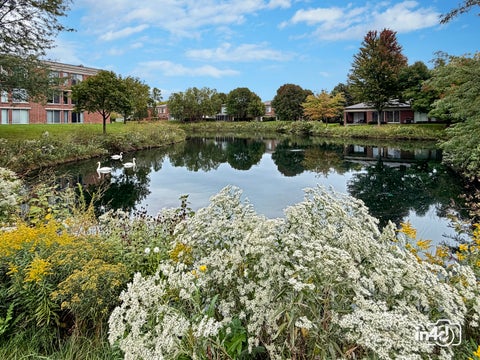 Tiny photo for 411 Kelburn Road #121, Deerfield, IL 60015 (MLS # 12765850)