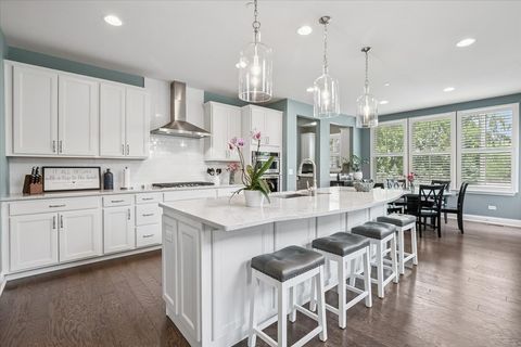 Tiny photo for 548 Council Circle, Vernon Hills, IL 60061 (MLS # 12688268)