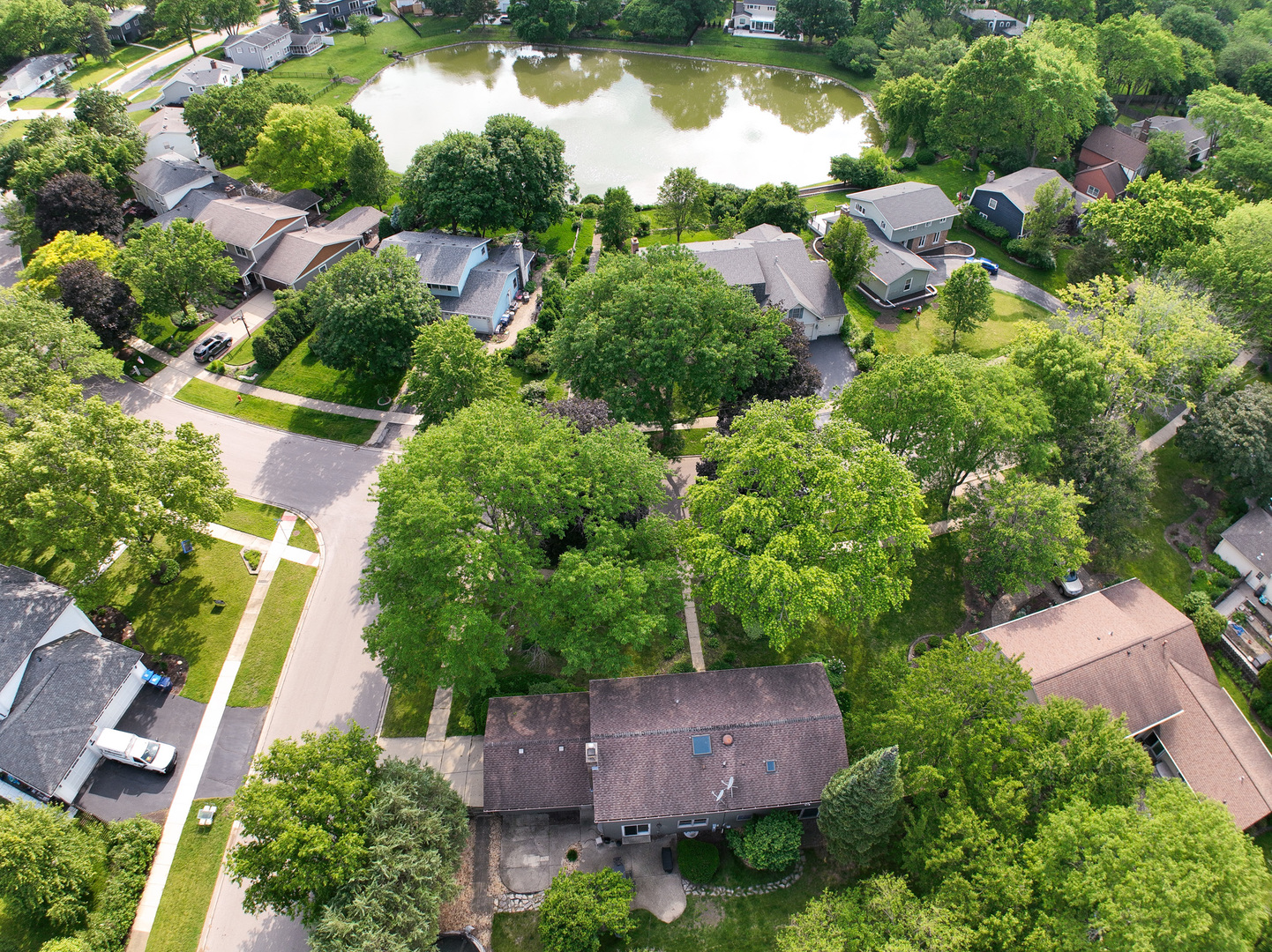 6S503 Bridlespur Drive