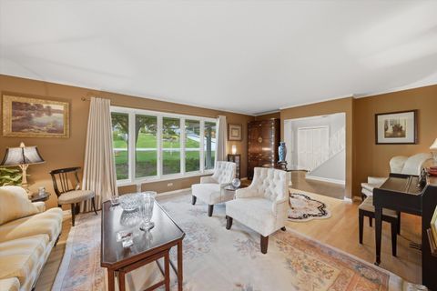 Tiny photo for 10023 S WOOD Lane, Palos Hills, IL 60465 (MLS # 12631608)