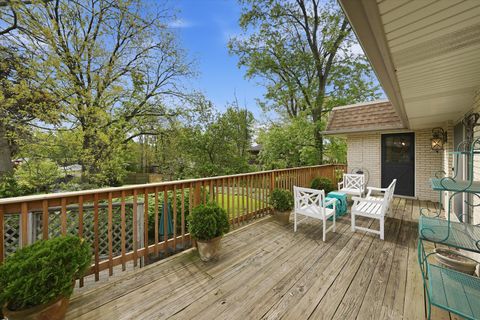 Tiny photo for 10023 S WOOD Lane, Palos Hills, IL 60465 (MLS # 12631608)
