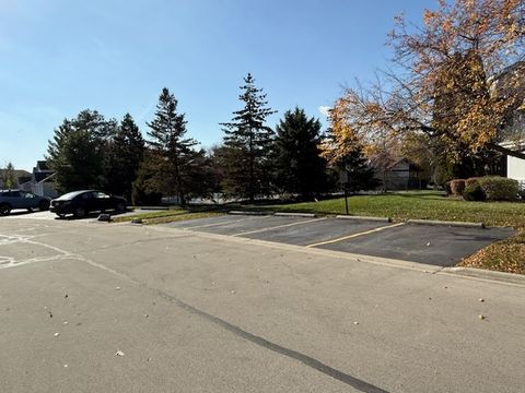 Tiny photo for 310 OAK MEADOW Court #D2, Schaumburg, IL 60193 (MLS # 12540475)