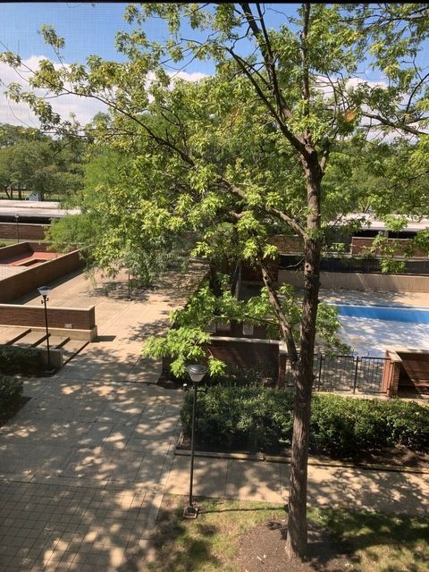 Tiny photo for 3021 S Michigan Avenue #304, Chicago, IL 60616 (MLS # 12459351)