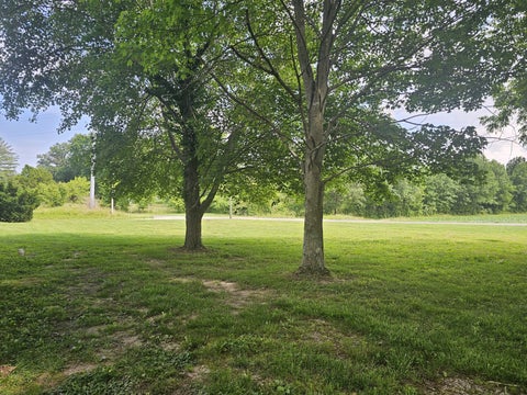 Tiny photo for 14541 N Morton Lane, Mt Vernon, IL 62864 (MLS # 12663711)