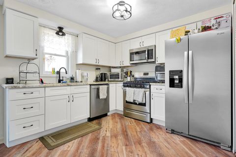 Tiny photo for 135 N Cook Street, Braidwood, IL 60408 (MLS # 12580895)