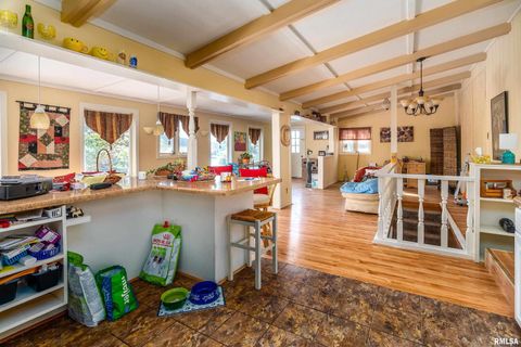 Tiny photo for 755 S LAKESHORE Drive, Goreville, IL 62939 (MLS # EB460236)