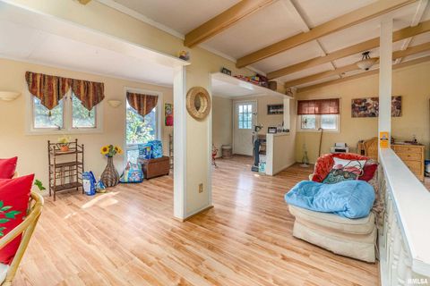 Tiny photo for 755 S LAKESHORE Drive, Goreville, IL 62939 (MLS # EB460236)