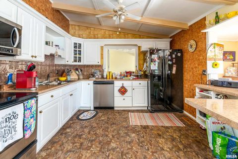 Tiny photo for 755 S LAKESHORE Drive, Goreville, IL 62939 (MLS # EB460236)