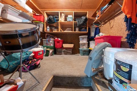 Tiny photo for 755 S LAKESHORE Drive, Goreville, IL 62939 (MLS # EB460236)