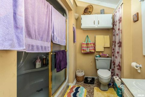 Tiny photo for 755 S LAKESHORE Drive, Goreville, IL 62939 (MLS # EB460236)