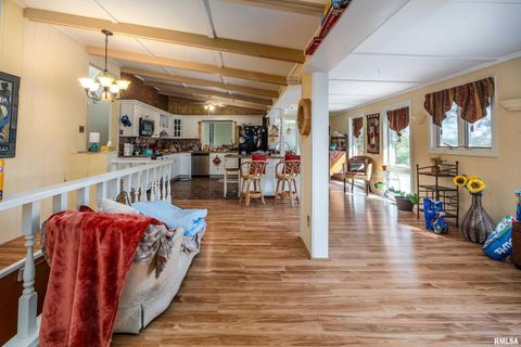 Tiny photo for 755 S LAKESHORE Drive, Goreville, IL 62939 (MLS # EB460236)