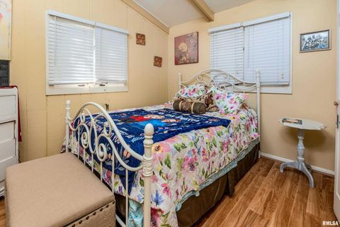 Tiny photo for 755 S LAKESHORE Drive, Goreville, IL 62939 (MLS # EB460236)