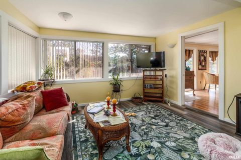 Tiny photo for 755 S LAKESHORE Drive, Goreville, IL 62939 (MLS # EB460236)