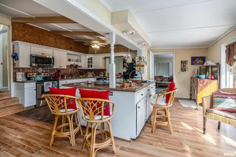 Tiny photo for 755 S LAKESHORE Drive, Goreville, IL 62939 (MLS # EB460236)