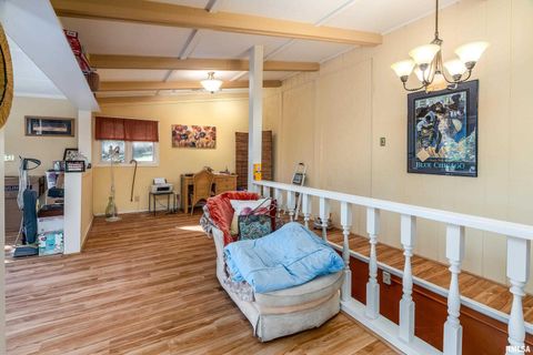 Tiny photo for 755 S LAKESHORE Drive, Goreville, IL 62939 (MLS # EB460236)