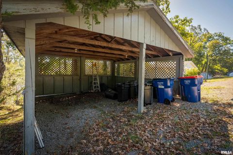 Tiny photo for 755 S LAKESHORE Drive, Goreville, IL 62939 (MLS # EB460236)