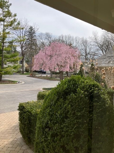 Tiny photo for 2 Court of Fox River Valley, Lincolnshire, IL 60069 (MLS # 12625747)