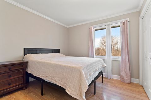 Tiny photo for 17248 110th Court, Orland Park, IL 60467 (MLS # 12562186)