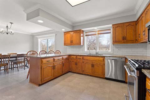 Tiny photo for 17248 110th Court, Orland Park, IL 60467 (MLS # 12562186)