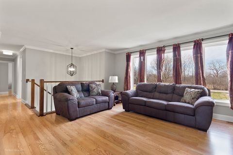 Tiny photo for 17248 110th Court, Orland Park, IL 60467 (MLS # 12562186)