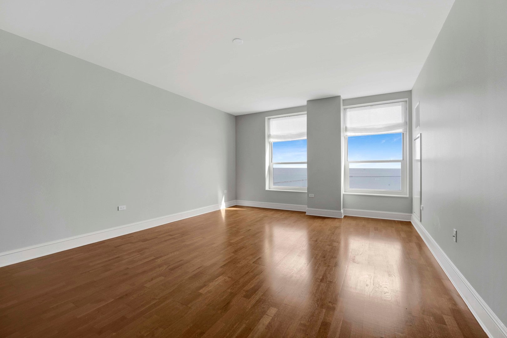 850 N Lake Shore Drive 1103