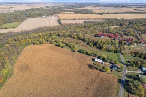 Tiny photo for 11071 Crimmin Road, Newark, IL 60541 (MLS # 12504821)