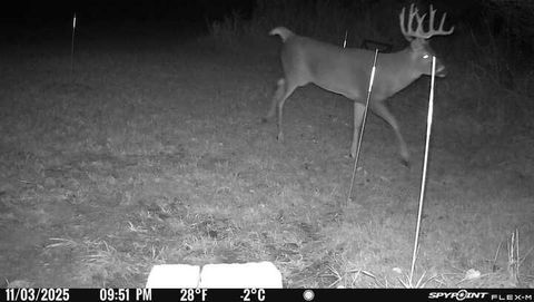 Tiny photo for 11071 Crimmin Road, Newark, IL 60541 (MLS # 12504821)