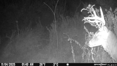 Tiny photo for 11071 Crimmin Road, Newark, IL 60541 (MLS # 12504821)