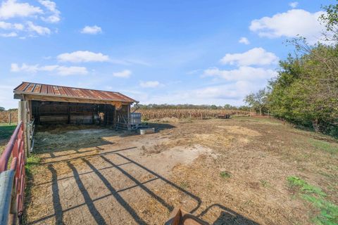 Tiny photo for 11071 Crimmin Road, Newark, IL 60541 (MLS # 12504821)